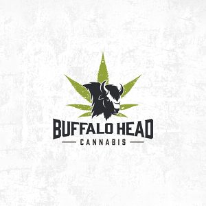 Buffalo Head
